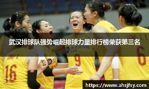 武汉排球队强势崛起排球力量排行榜荣获第三名